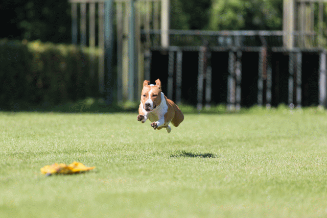 Cs3Q4895 20502519351 O