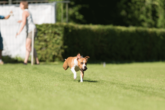 Cs3Q4880 20502529241 O