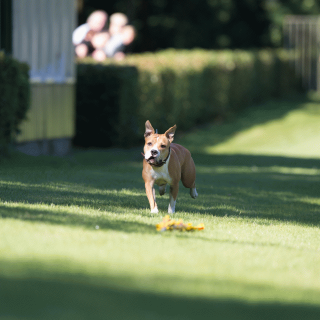 Cs3Q4839 20502553901 O