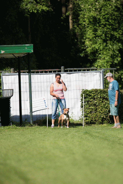 Cs3Q4817 20502559751 O