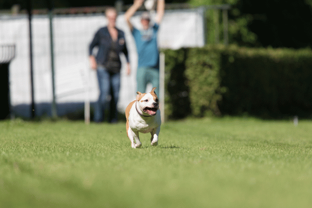 Cs3Q4806 20502568551 O