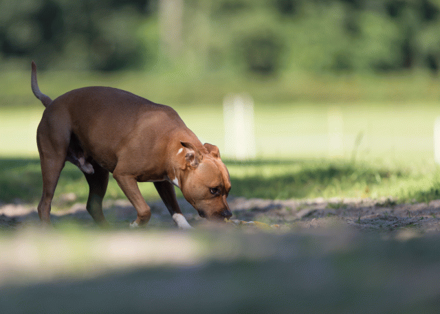 Cs3Q4718 20502573911 O