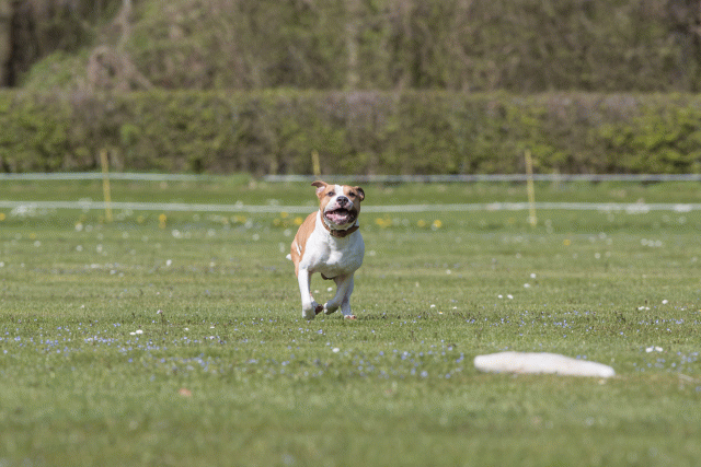 Bo4I8543 33036600514 O