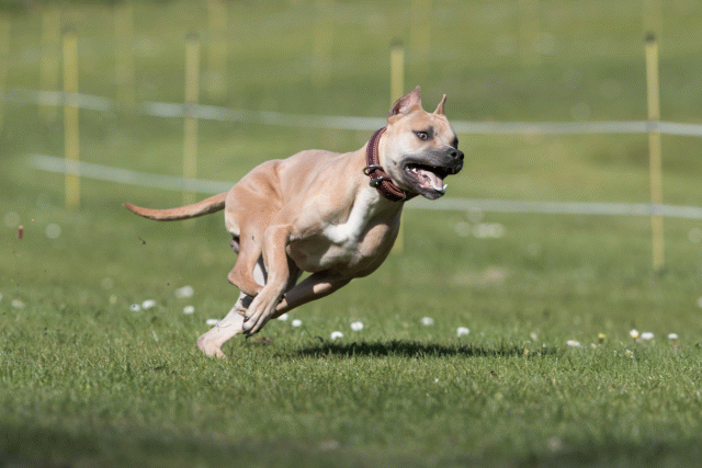 Bo4I8429 33036917904 O