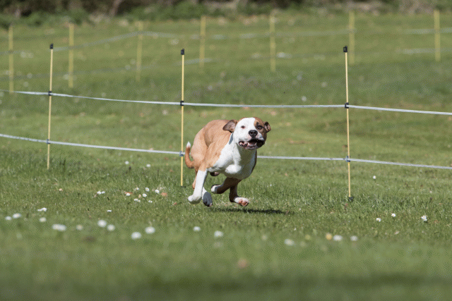 Bo4I8396 33036922794 O