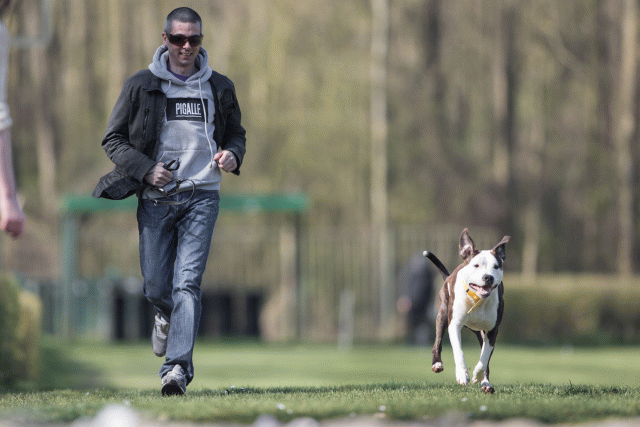 Bo4I8380 33036924844 O