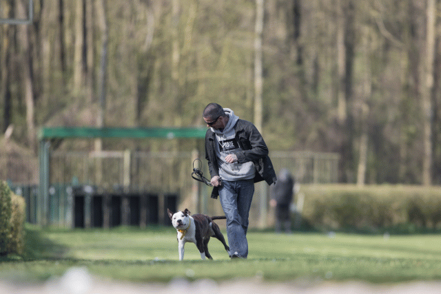 Bo4I8378 33036925114 O