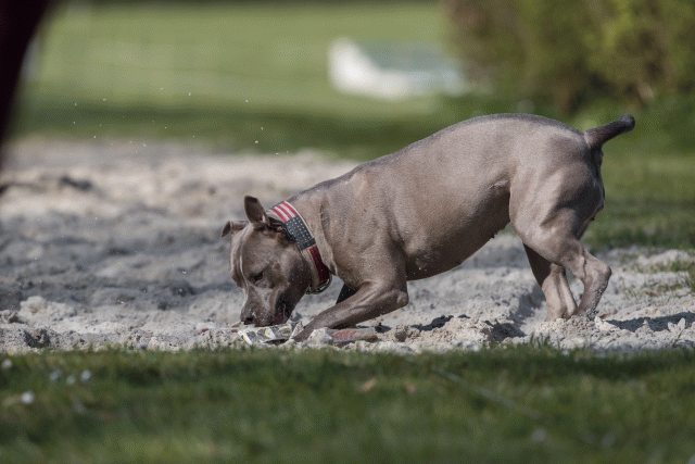 Bo4I8294 33036934534 O