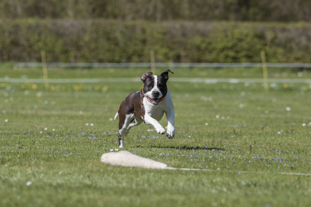 Bo4I8819 33067001193 O