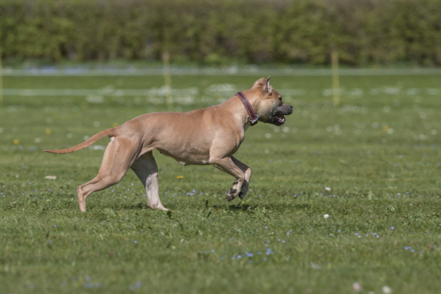 Bo4I8791 33067004853 O