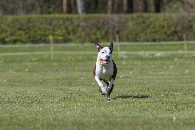 Bo4I8760 33067009483 O