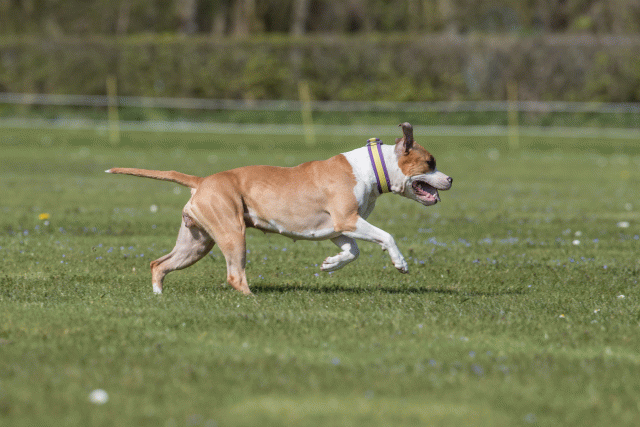 Bo4I8748 33067010783 O