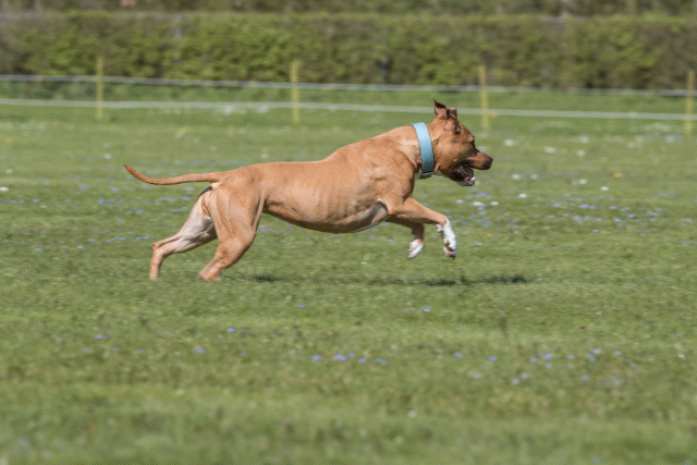 Bo4I8675 33067014943 O