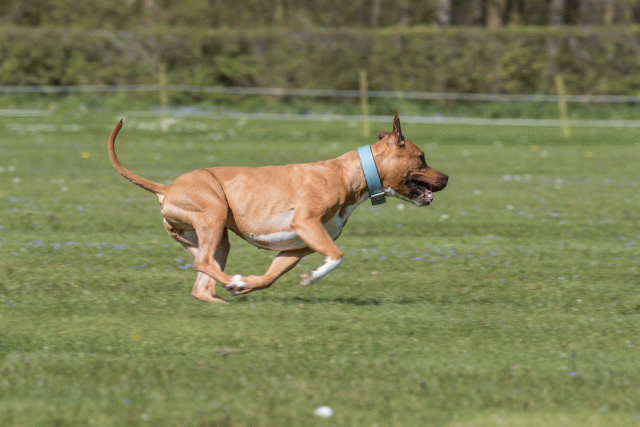 Bo4I8673 33067015223 O