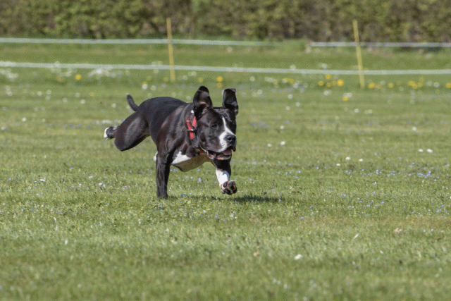 Bo4I8659 33067015773 O