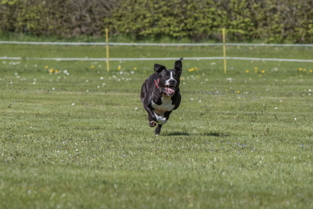 Bo4I8657 33067015923 O