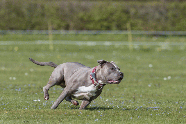 Bo4I8624 33067022033 O