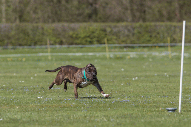 Bo4I8598 33067031113 O