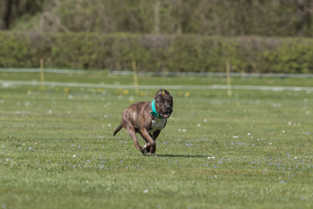 Bo4I8597 33067032193 O