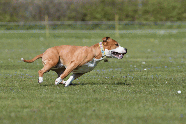 Bo4I8514 33067056403 O