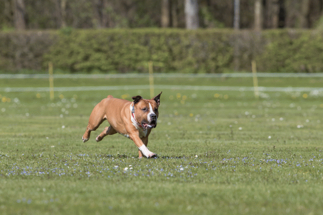 Bo4I8498 33067059443 O