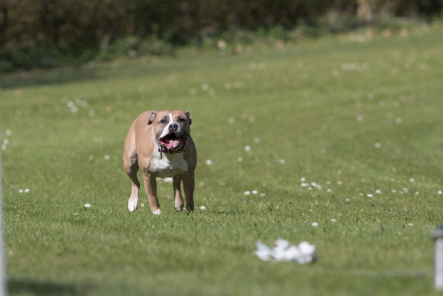 Bo4I8468 33067448573 O