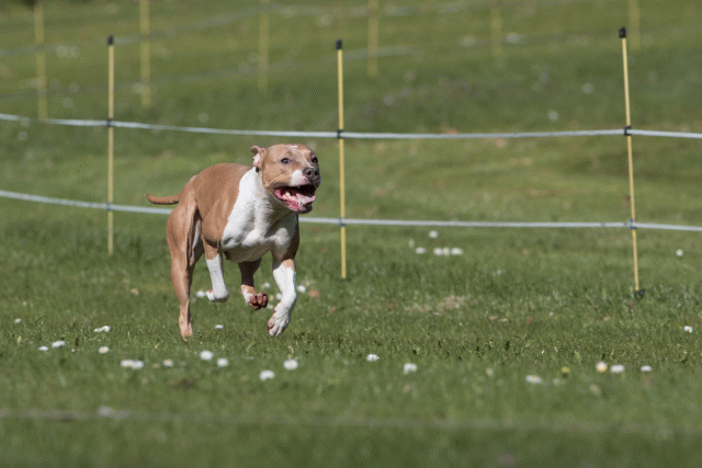 Bo4I8434 33067453293 O