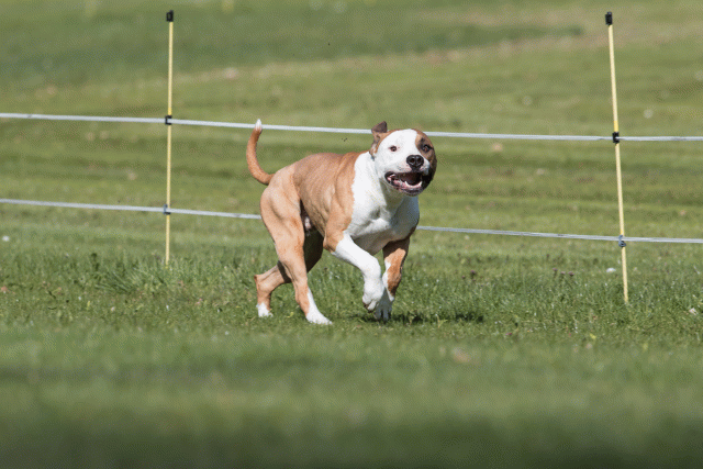 Bo4I8398 33067457253 O