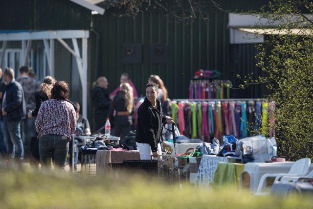 Bo4I8393 33067457833 O