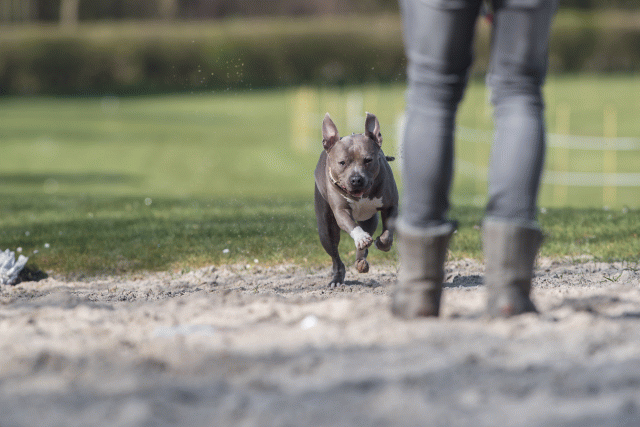 Bo4I8272 33458295440 O