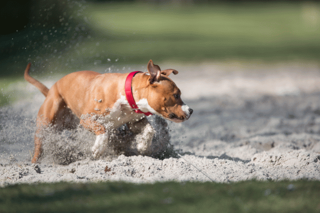 Bo4I8255 33458299110 O