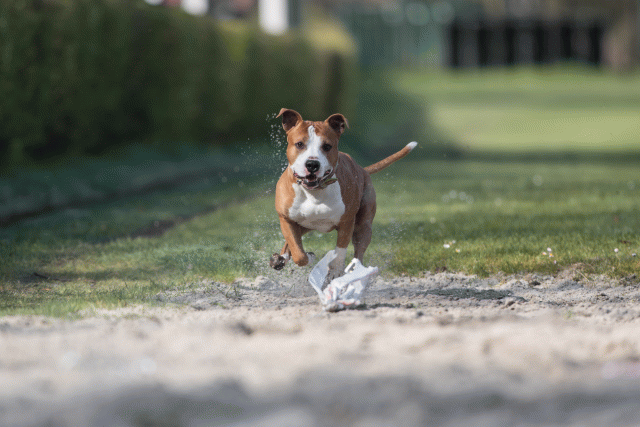 Bo4I8214 33458306820 O