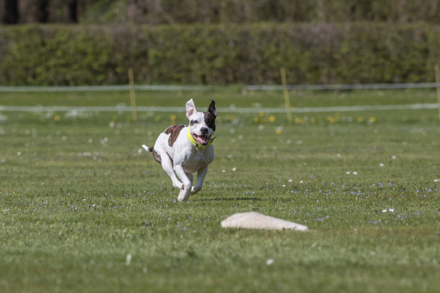 Bo4I8808 33495644480 O