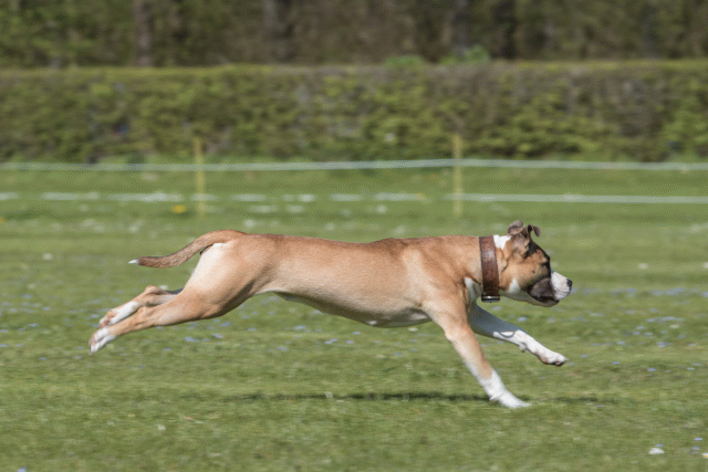 Bo4I8743 33495655000 O