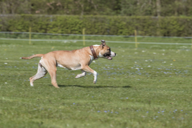 Bo4I8741 33495655670 O