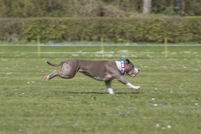 Bo4I8731 33495657230 O