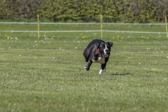 Bo4I8658 33495671410 O