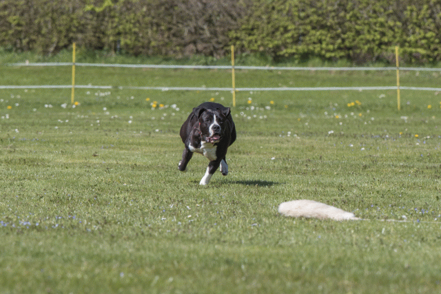 Bo4I8655 33495672560 O