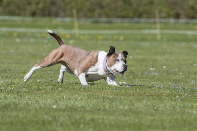 Bo4I8645 33495674960 O