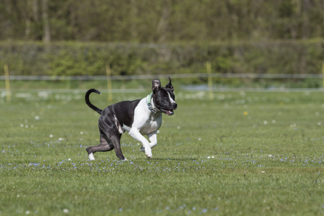 Bo4I8481 33496003850 O