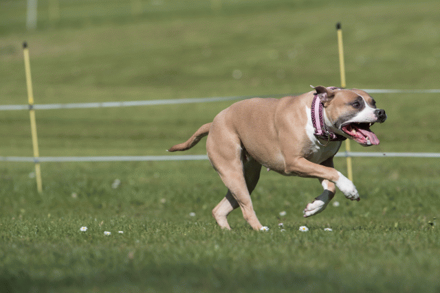 Bo4I8473 33496005090 O