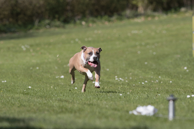 Bo4I8469 33496006230 O