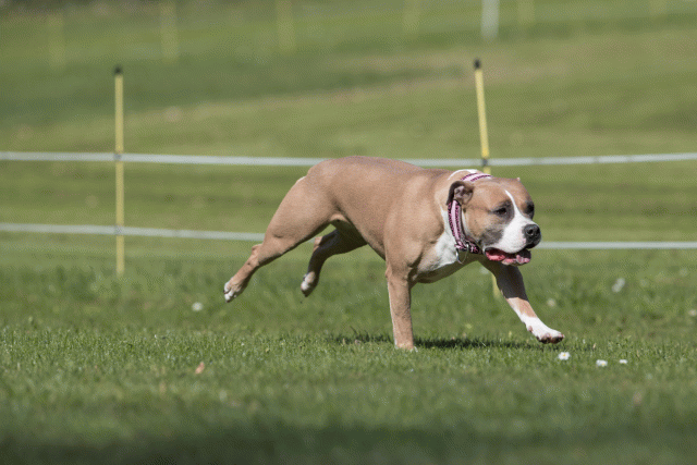 Bo4I8472 33496006860 O