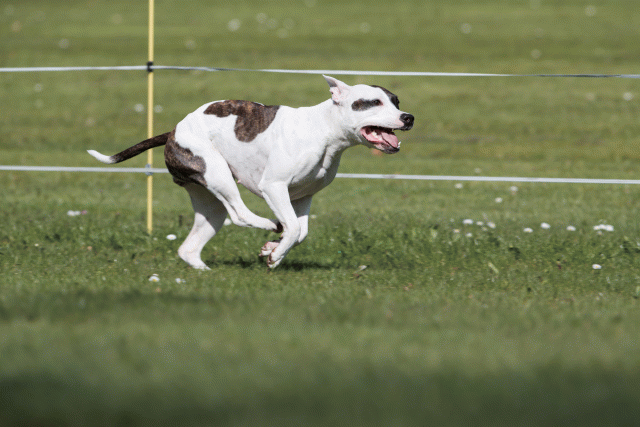 Bo4I8465 33496007940 O