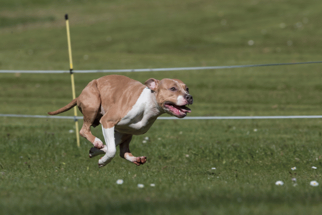 Bo4I8437 33496012050 O