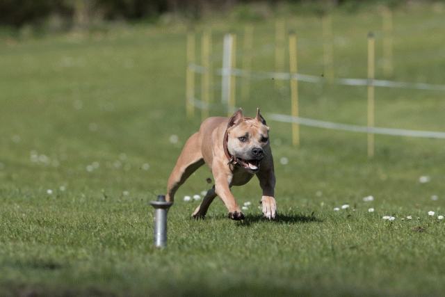 Bo4I8428 33496013920 O