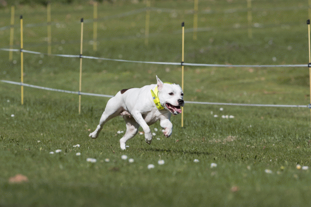 Bo4I8418 33496016750 O