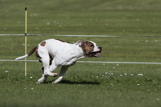 Bo4I8412 33496018120 O