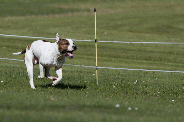 Bo4I8409 33496019200 O