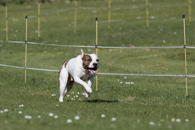 Bo4I8406 33496019920 O